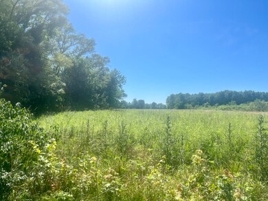 6576 Us Highway 31, Berrien Springs, MI 49103 - photo 3