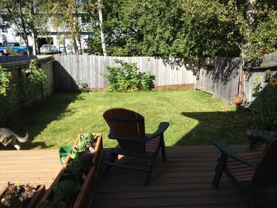 Back Yard 9042 Dewberry