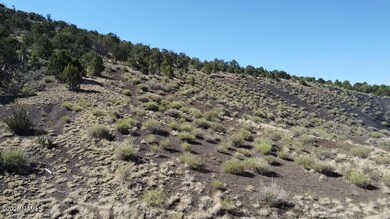 20202016v No Name Rd, Williams, AZ 86046 - photo 4