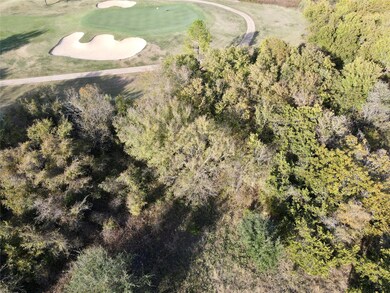 22047 Raintree Ct, Whitney, TX 76692 - photo 3