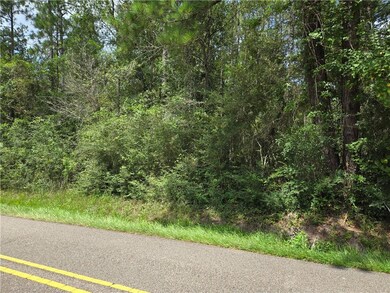 0 Fish Hatchery Rd unit 2460470, Lacombe, LA 70445 - photo 2