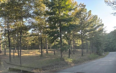 88 Cr 32, Dennis, MS 38838 - photo 3