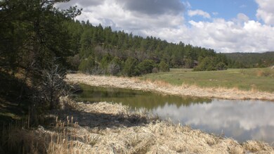Conservancy ponds