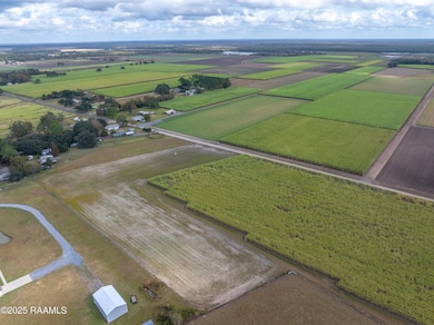 204 Black Rd, Saint Martinvlle, LA 70582 - photo 6