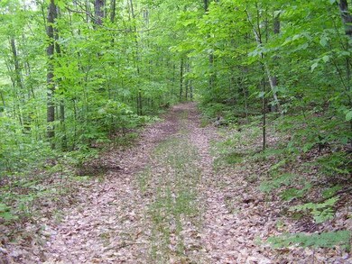 Alternate View of Trail