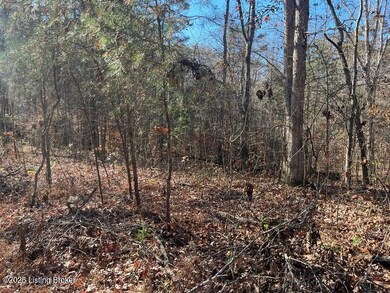 L32 Ted Logsdon Rd, Clarkson, KY 42726 - photo 7