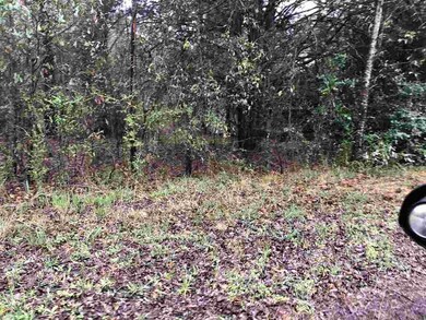 0 Curry Dr, Macon, GA 31211 - photo 4