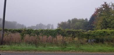 4506 W U Ave, Schoolcraft, MI 49087 - photo 3