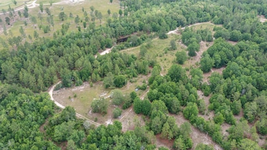 DJI_0313