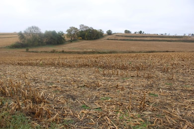 613 Clark St, Oakland, IA 51560 - photo 6