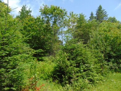 00 Hoyt Rd, Stewartstown, NH 03597 - photo 7