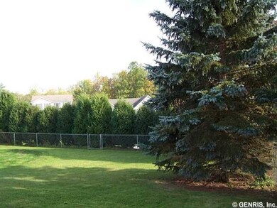 Backyard Spacious fenced in yard