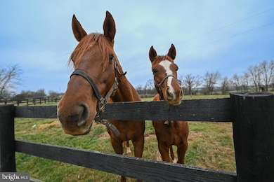 165 Ancient Oak Ln, Berryville, VA 22611 - photo 6