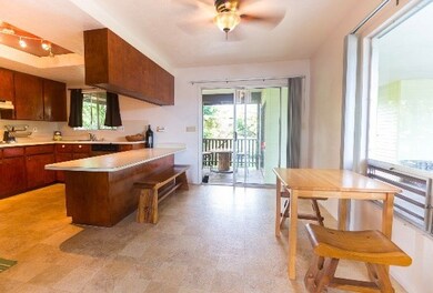 433 Kukuau St, Hilo, HI 96720 - photo 6