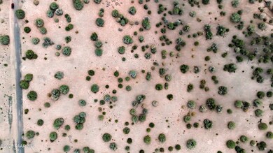 4 Top down of lot - top is North_edited