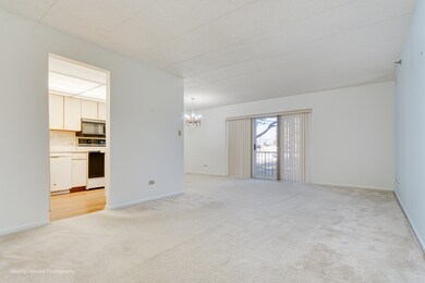 18501 Wentworth Ave unit 1A, Lansing, IL 60438 - photo 5