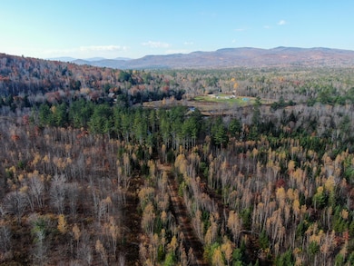 DJI_0536