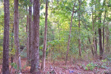 TBD Bob o Link Rd, Gilmer, TX 75645 - photo 7