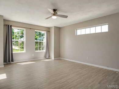 106 Empson Dr, Valmeyer, IL 62295 - photo 5