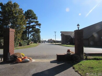 404 W 5th St, Carlisle, AR 72024 - photo 7