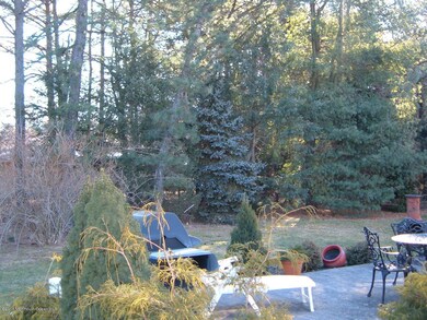 2005_0212Image0023