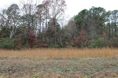 1790 Miller Point Rd S, Quitman, AR 72131 - photo 2