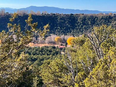 0 Gallina Canyon Rd unit 114366, Valdez, NM 87580 - photo 5