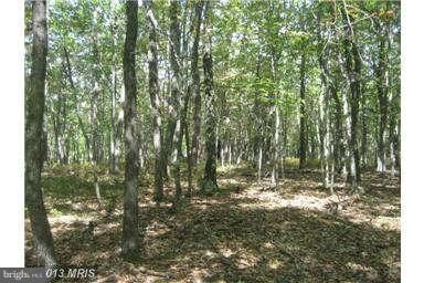 0 Deep Spring Rd unit 1003582428, Dorcas, WV 26847 - photo 6