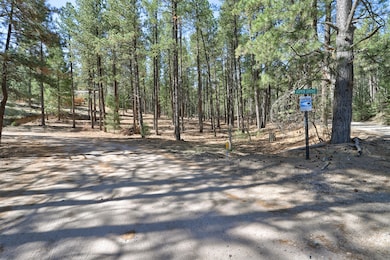 Lot B Lands of Hotch Fr 10, Jemez Springs, NM 87025 - photo 4