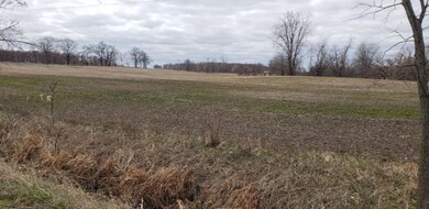 Parcel A Jefferson Rd, Ionia, MI 48846 - photo 6