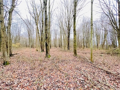 00 Rd, Kinsman, OH 44428 - photo 2