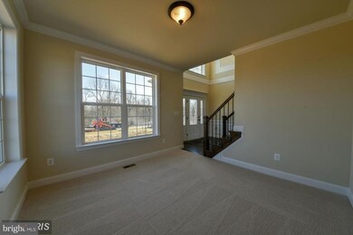 7249 Filly Ct, Hughesville, MD 20637 - photo 6