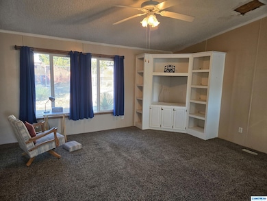 135 Sandalwood Ave, Silver City, NM 88061 - photo 5