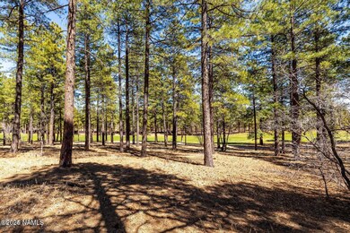 IMG_1320