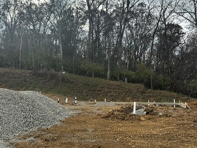 6196 Sycamore Stream Rd, Dandridge, TN 37725 - photo 2