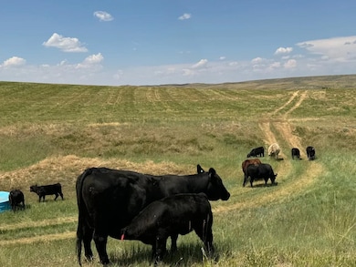 Tbd Cr 109, Craig, CO 81625 - photo 7
