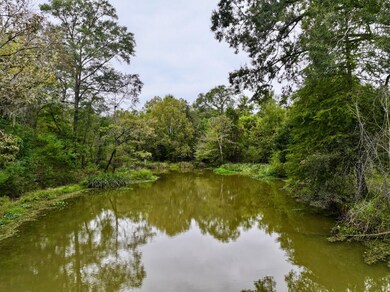 1785 International Paper Rd, Coffeeville, AL 36524 - photo 4