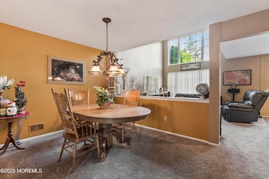 photos_high_resolution_HOM09865