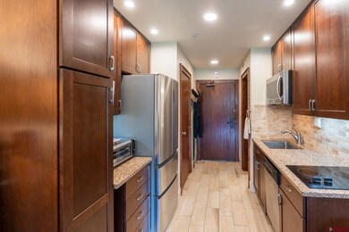 Tamarron Condos unit 225, Durango, CO 81301 - photo 6