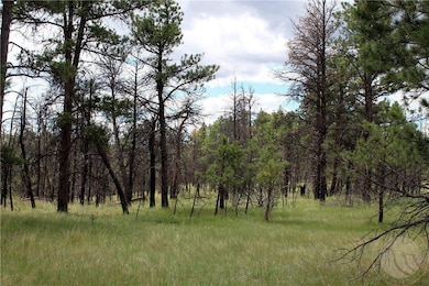 Deer Lane Lot: Eh-13, Roundup, MT 59072 - photo 6