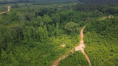DJI_0979