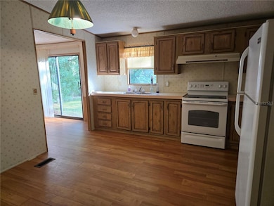 733 1st St, Polk City, FL 33868 - photo 3