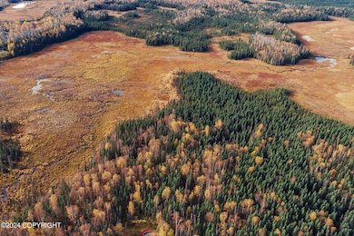DJI_0736-1_web