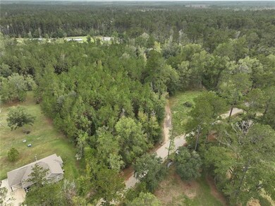 27823 J C Stewart Rd, Albany, LA 70711 - photo 4