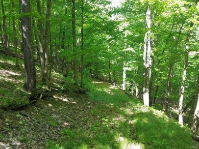 00 German Hill Rd Rd, Greenwood, NY 14839 - photo 6