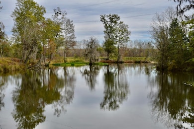 330 Jones River Rd, Camden, AL 36726 - photo 4