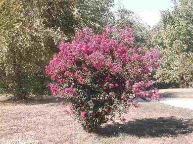 462 Gr 731 Rd, Jonesboro, AR 72401 - photo 6