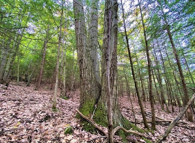 0 Tinkertown Rd unit R1651977, Tuscarora, NY 14801 - photo 4