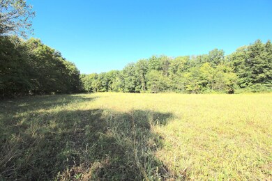 0 Merchant Rd, Delaware, OH 43015 - photo 3