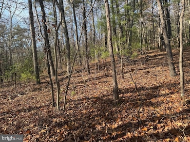 0 5 6 Cooper Mountain View, Capon Bridge, WV 26711 - photo 5